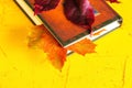 Autumn concept. A book and autumn leaves on a yellow concrete background. Close up. Selective focus