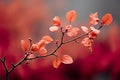 Autumn concept a captivating scene featuring a tree branch adorned with rusty golden leaves