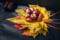 autumn concept. chestnuts on colorful bright maple leaves on a black leather car seat. close-up Royalty Free Stock Photo