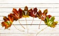 Autumn concept with colorful leaves Royalty Free Stock Photo