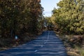 Autumn concept. Autumn composition. Autumn empty road in forest