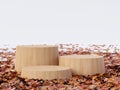 Autumn concept empty cylinder wooden podium surrounded by fallen leaves 3d render