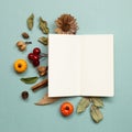 Autumn concept. Empty note paper with dry leaves on green background Royalty Free Stock Photo