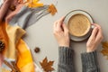 Autumn concept. First person top view photo of female hands in sweater holding cup of coffee on saucer plaid scarf yellow maple Royalty Free Stock Photo