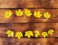 Autumn concept - inscription Hello autumn on yellow maple leaves on a wooden background. Royalty Free Stock Photo