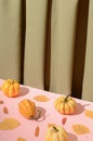 Autumn concept of leaves and pumpkins. Royalty Free Stock Photo