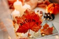 Autumn concept presented by a maple leaf, candles, pumpkins
