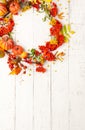 Autumn concept with pumpkins, flowers, autumn leaves and  rowan berries on a white rustic background. Festive autumn decor, flat Royalty Free Stock Photo