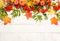 Autumn concept with pumpkins, flowers, autumn leaves and  rowan berries on a white rustic background. Festive autumn decor, flat Royalty Free Stock Photo