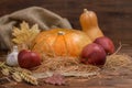 autumn concept of pumpkins, red apple, garlic, leaf, straw on wooden table, fall background