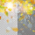 Autumn concept template with copy space. EPS 10 vector Royalty Free Stock Photo