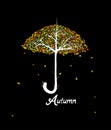 Autumn concept, umbrella looks like tree with colored leaves on the black background,