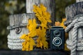 Autumn concert, retro camera on a wooden background