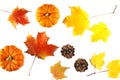 Autumn concept witn maple leaves, pumpkins and pine cone