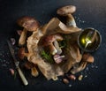 Autumn cooking background; organic porcini Mushroom Royalty Free Stock Photo