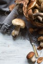 Autumn cooking background; seasoning forest organic porcini Mu