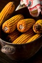 Autumn corn Royalty Free Stock Photo