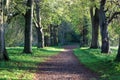 Autumn country park Royalty Free Stock Photo