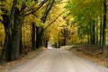 Autumn Country Road