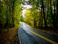 Autumn Country Road Royalty Free Stock Photo