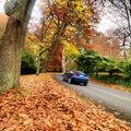 Autumn on the country road Royalty Free Stock Photo