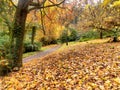 Autumn on the country road Royalty Free Stock Photo