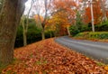 Autumn on the country road Royalty Free Stock Photo