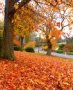 Autumn on the country road Royalty Free Stock Photo