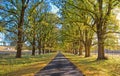 Autumn country road Royalty Free Stock Photo