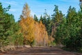 Autumn country road deadlock Royalty Free Stock Photo