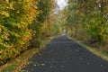 Autumn country road Royalty Free Stock Photo