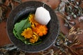 Calendula Tea, Organic, Mortar Pestle Healing Plants Herbalism, Naturopathy, Flowers Herbs, Dried Flowers, Medicinal, Holistic