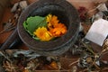 Mortar Pestle Healing Plants Herbalism, Tea Bag Naturopathy, Flowers Herbs, Dried Flowers, Medicinal, Holistic Still Life, Floral