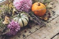 Autumn in countryside. Stylish pumpkins, autumn leaves, purple dahlias flowers, heather on rustic old wooden background. Rural Royalty Free Stock Photo