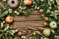 Autumn cozy flatlay frame arrangement with apple tree branches, ripe fruits, spoon, walnuts and twine on wooden