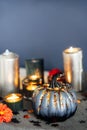 Autumn cozy mood composition for home decoration. Gray pumpkin with sequins, burning candles, fresh dahlia flowers on Royalty Free Stock Photo