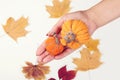 Autumn craft for kids. Preparations for halloween. Woman holding knitted pumpkins Royalty Free Stock Photo