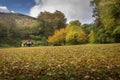 Autumn at Craig-y-Nos Country park