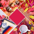 Autumn creative collage of photos. Autumn concept with a central main color