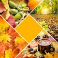 Autumn creative collage of photos. Autumn concept with a central main color