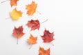 Autumn creative composition. Red and yellow maple leaves on white background. Flat lay, top view. Season background. Autumn, fall