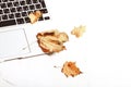 Autumn creative work composition. Laptop keyboard and autumn leaf