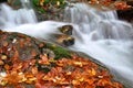 Autumn creek Royalty Free Stock Photo