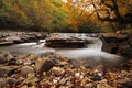 Autumn creek Royalty Free Stock Photo