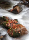 Autumn creek Royalty Free Stock Photo