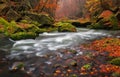 Autumn Creek Royalty Free Stock Photo