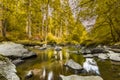 Autumnal forest, rocks covered with moss, fallen leaves. Mountain river with waterfalls at autumn times Royalty Free Stock Photo