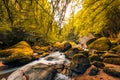 Autumnal forest, rocks covered with moss, fallen leaves. Mountain river with waterfalls at autumn times Royalty Free Stock Photo