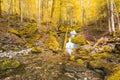 Autumnal forest, rocks covered with moss, fallen leaves. Mountain river with waterfalls at autumn times Royalty Free Stock Photo