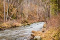 Autumn creek in the forest, Water flows on stones. Bubbles and foam on the water. natural background in selective focus